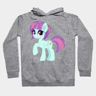 Sunny Flare pony Hoodie